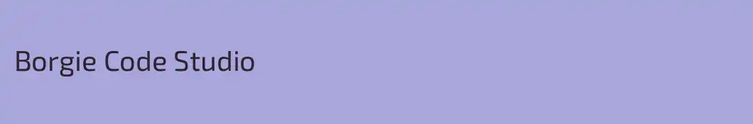 Borgie Code Studio